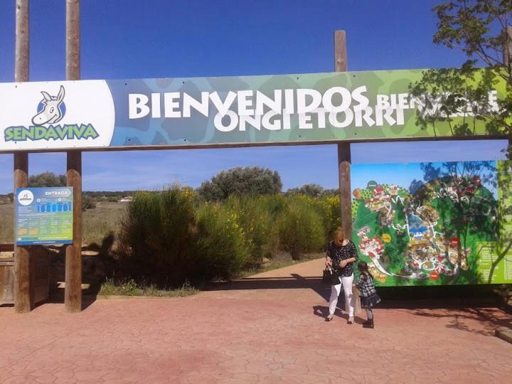 Atico Entero Con Habitacion En Corella Exteriér fotografie